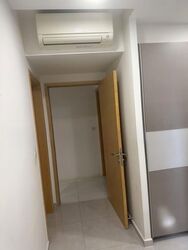 The Rainforest (D23), Condominium #565166571